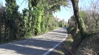 another all day of madness during the coronavirus quarantine