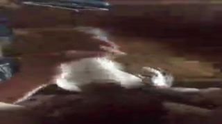 phat money shot for zigzagman710