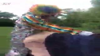 gibby the clown drills pawg in daylight