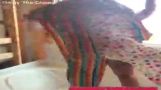 gibby the clown celebrates buying first house