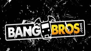 queen rogue shakes her enormous booty