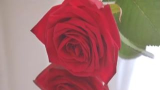 play alone female - flowery mirror wild ride