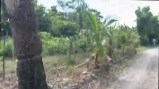 innocent peasant hottie is destroyed in exchange for some chickens