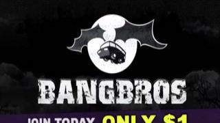 bangbros - hung stud buries his dark meat balls deep risky fill lyla storm s ultra soaked velvet vice