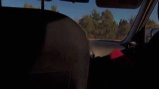 does my bush turn you on 