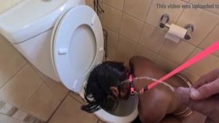 human toilet indian whore get pissed on and get her head flushed followed by sucking thick dick