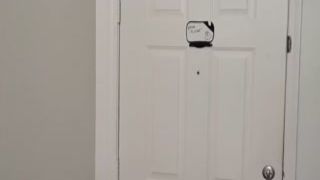 jay romero and rion king needs some pizza and ember snow delivered it fresh and gorgeous with an extra 3some service.