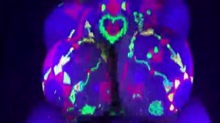 join this tentacle porn titfuck challenge mind-blowing neon cosmotits lilykoti