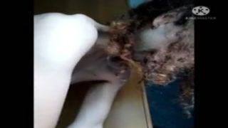 i could be a science and art professor. watch me give explanations of various everyday objects that are indispensable today. i recommend that you handle the illustrated objects with care. they are indispensable.