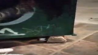 walking bare in the city giving away used thongs filled with my fluid 