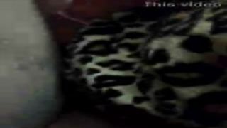 ms. king squirts and moans